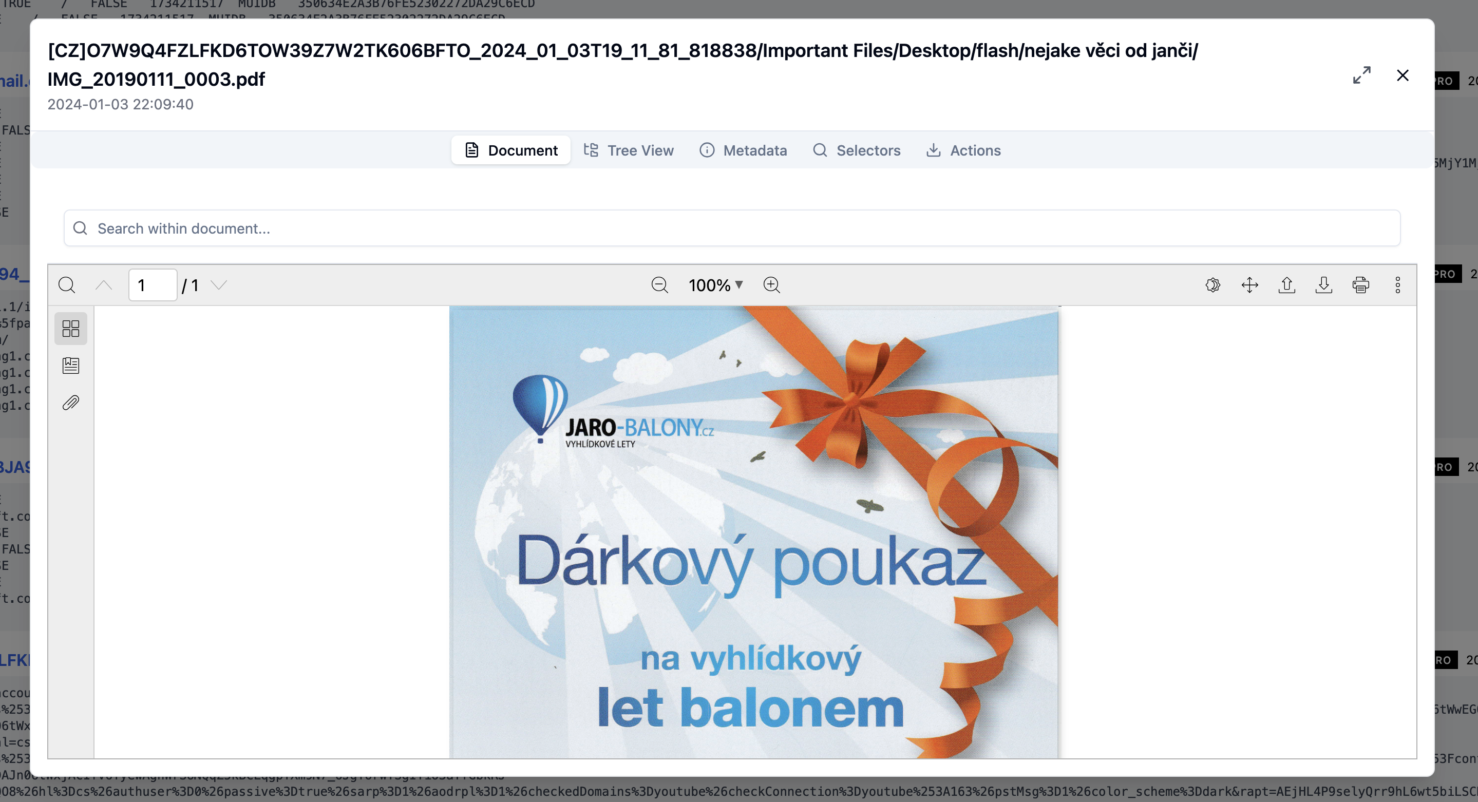 Inline document viewer screenshot